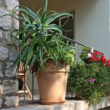 By The Sea Omisalj, Krk - 5298 *